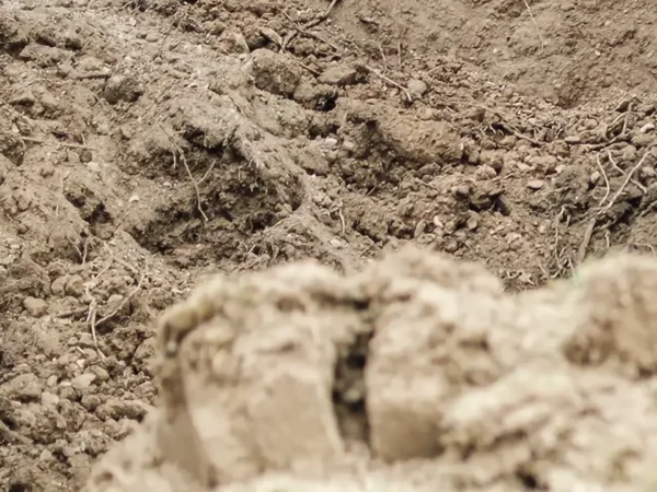 TAC Abfallarten Bodenaushub